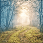 The Season of Emptiness