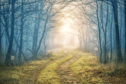 The Season of Emptiness